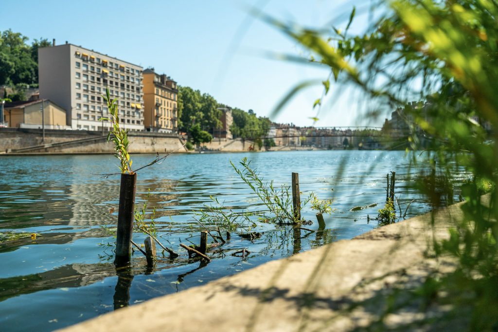 Ponton végétalisé sur la Saône dans le cadre du projet Gabiodiv' à Lyon – Vincent Delesvaux, photographe vidéaste